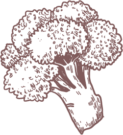 Broccoli