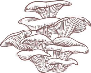 Chagamushroom