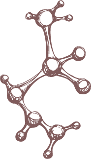 Enzymes