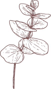 CentellaAsiatica