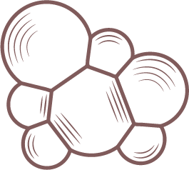 ceramides